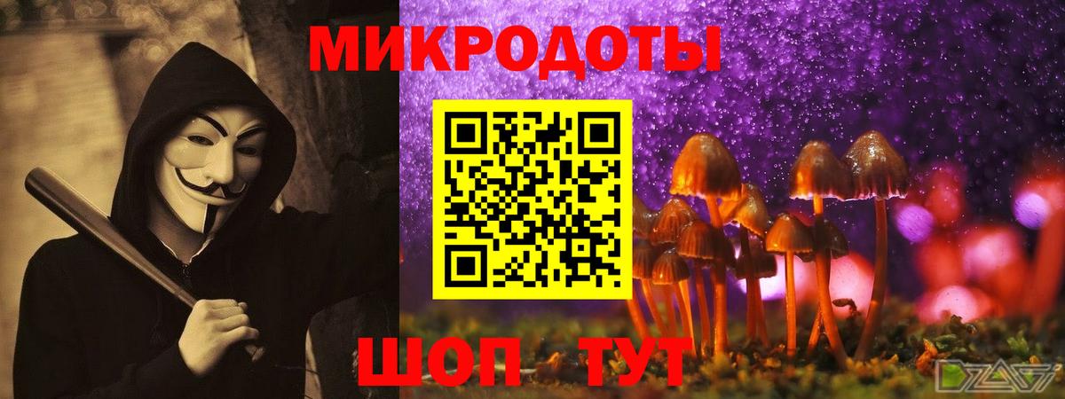 Галлюциногенные грибы Psilocybe  Вход с VPN  как найти   Печора 